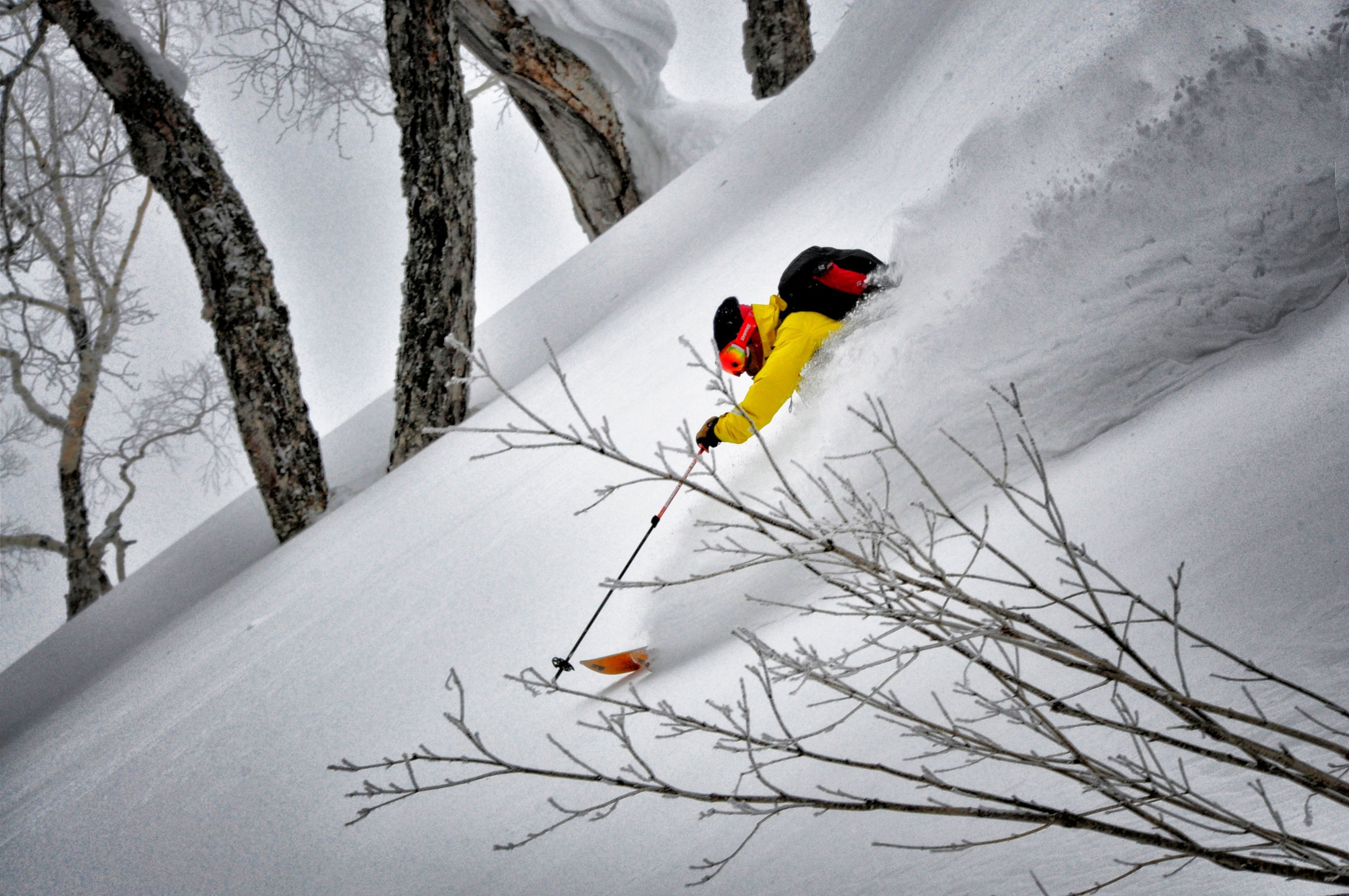Eiichi Matsuyama — photo 2