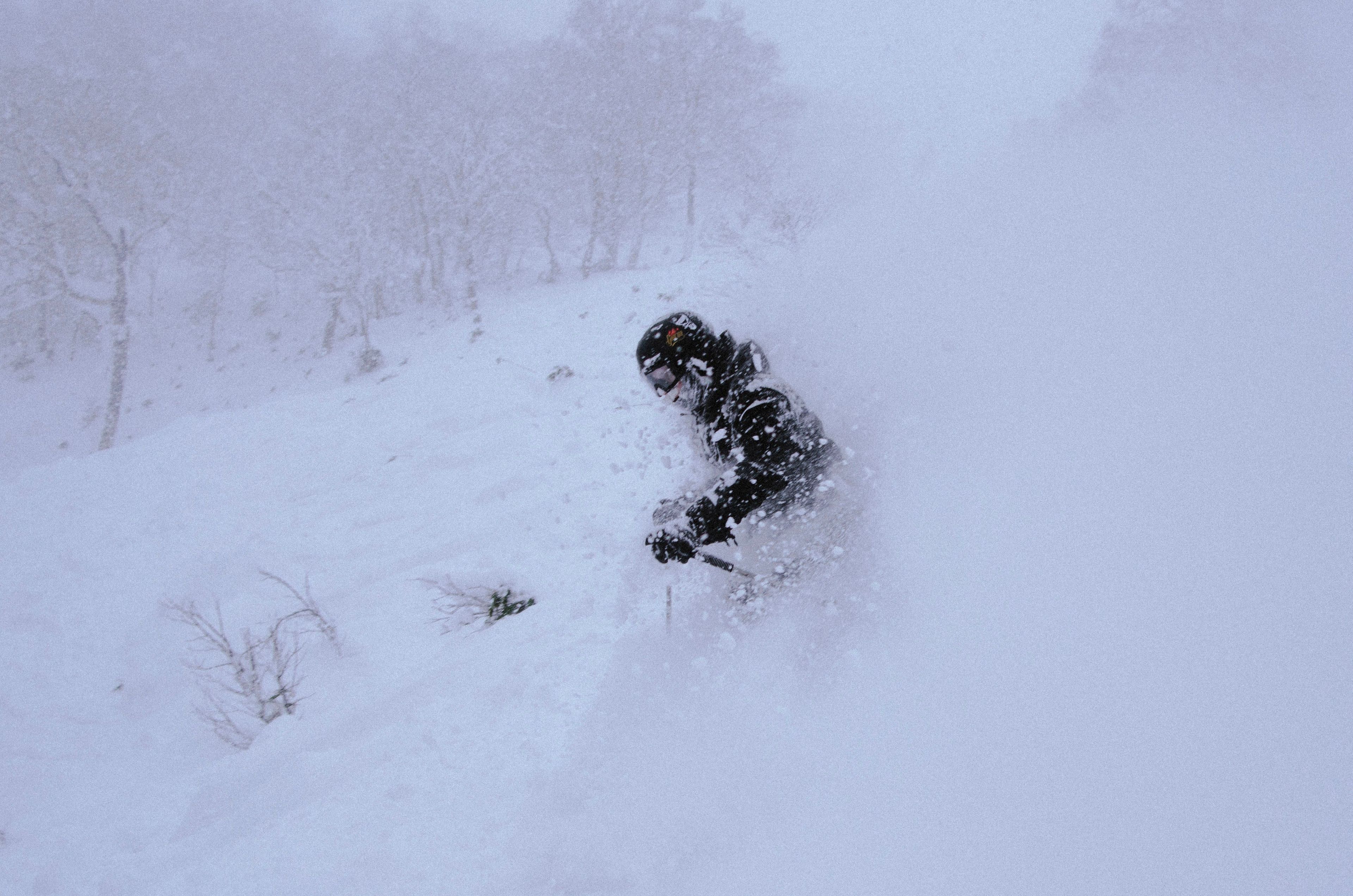 Tom Innes — photo 3