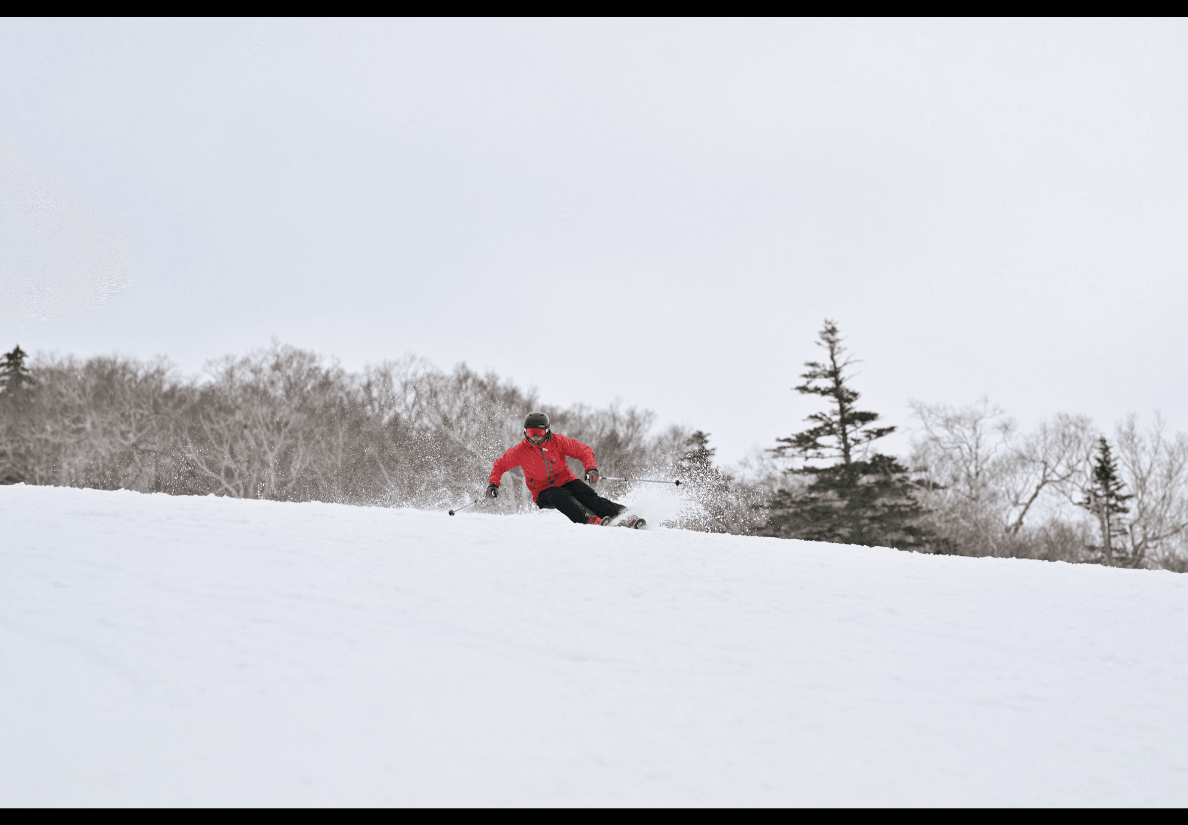 Mari Kuramochi — photo 2