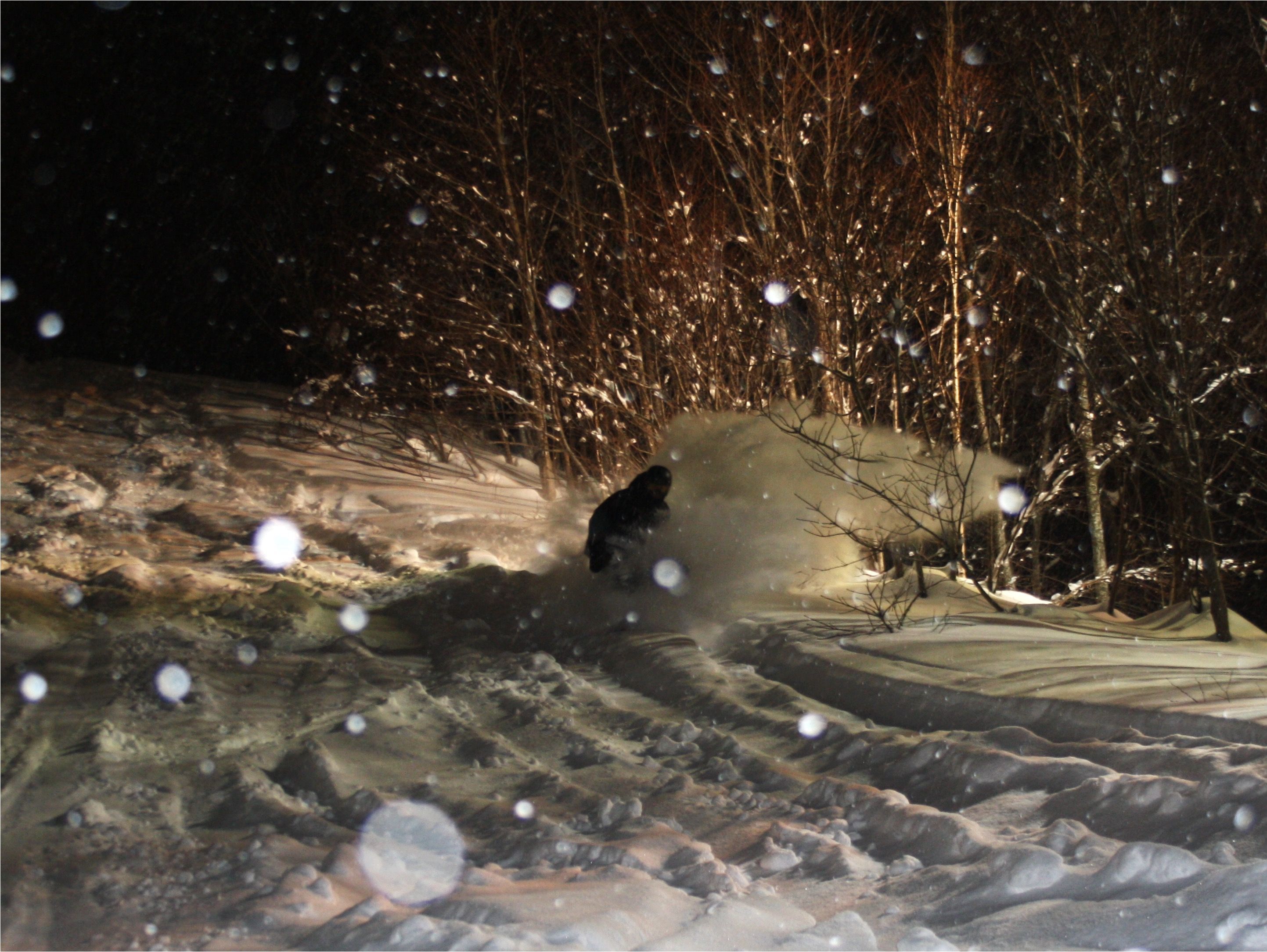 Daniel de Wildt — photo 5