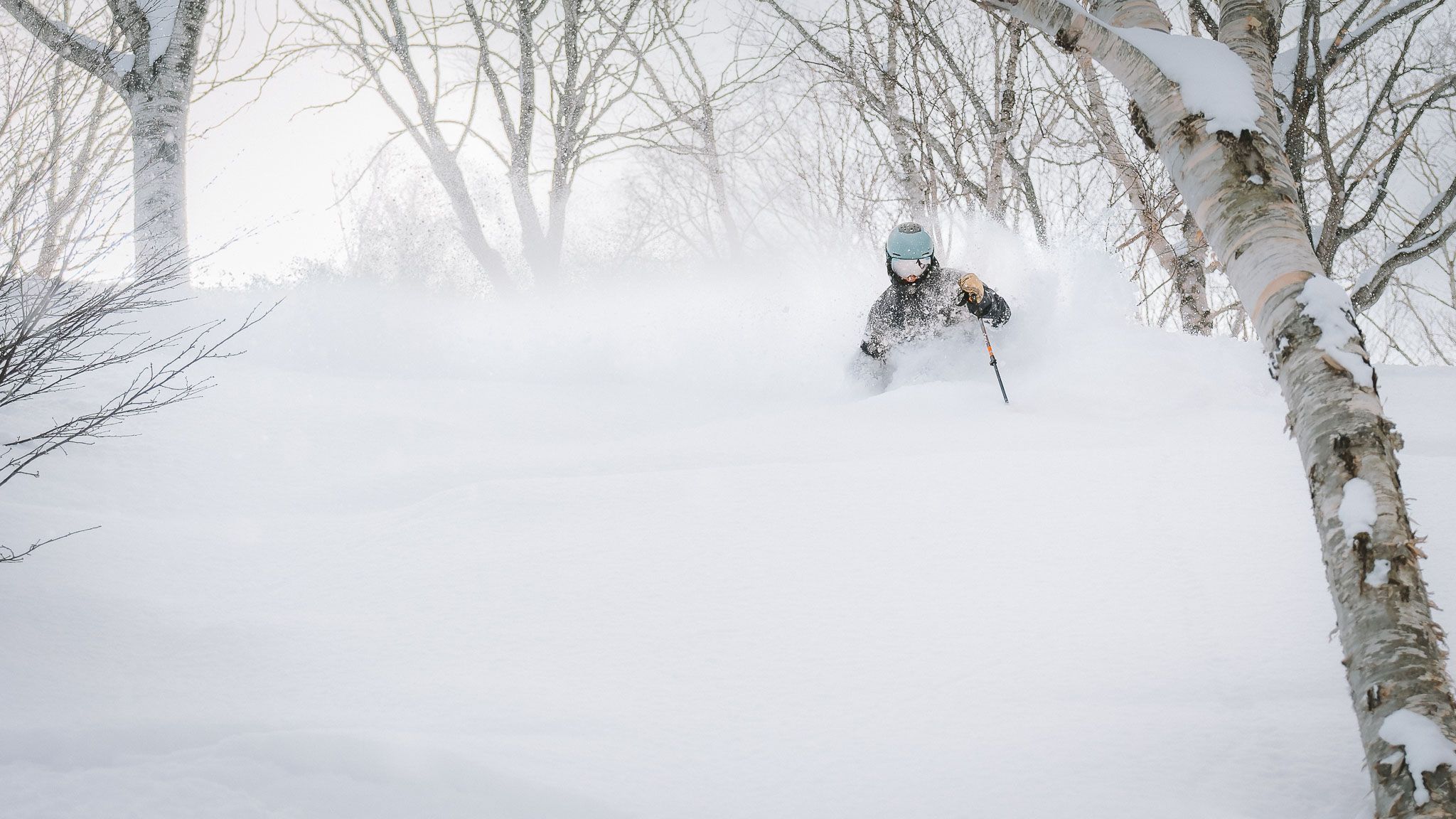 Brendan Reeves — photo 1