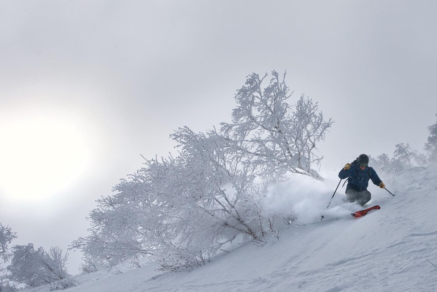 Powerful turns in advanced terrain
