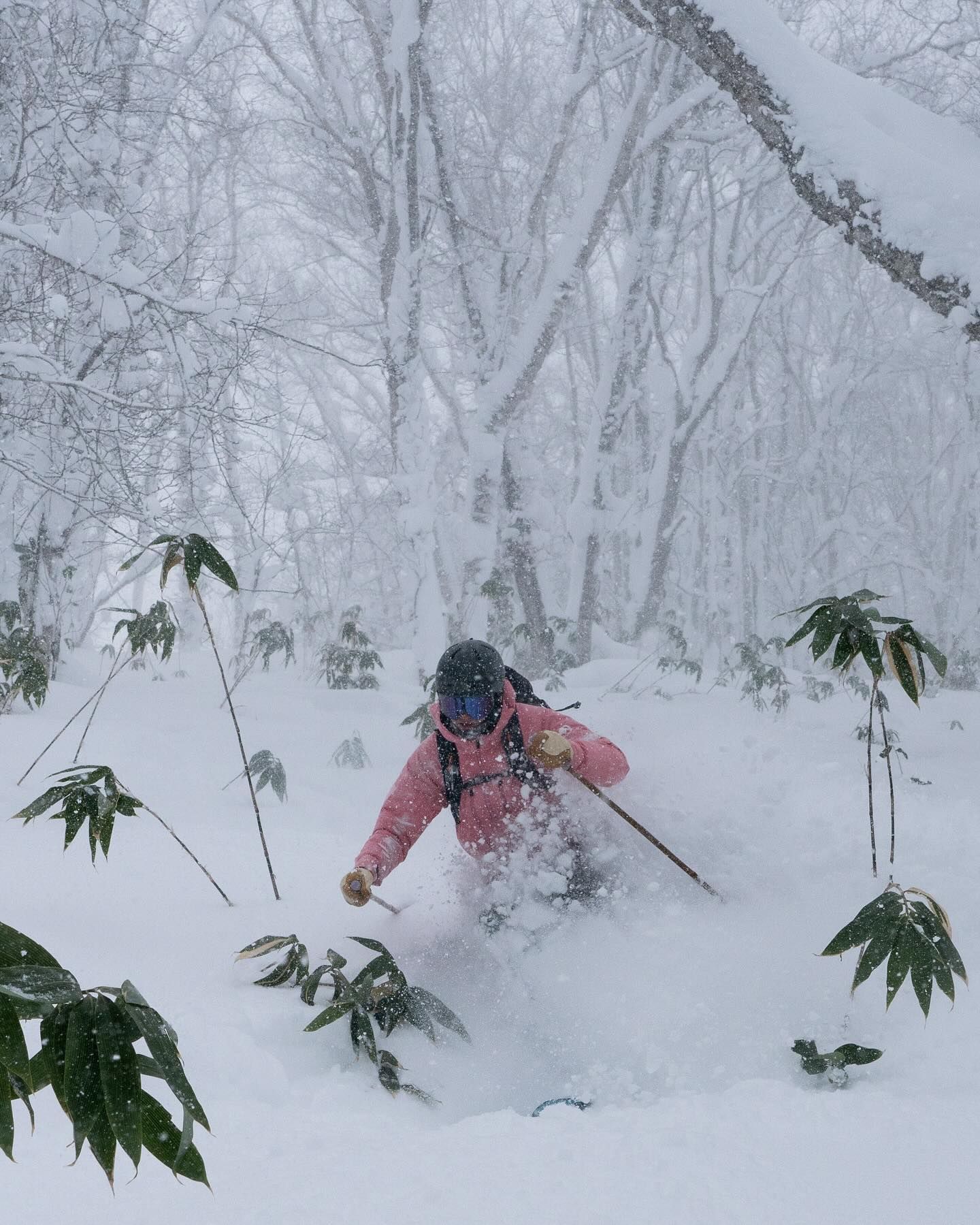 Jack Lacey skiing deep in bamboo