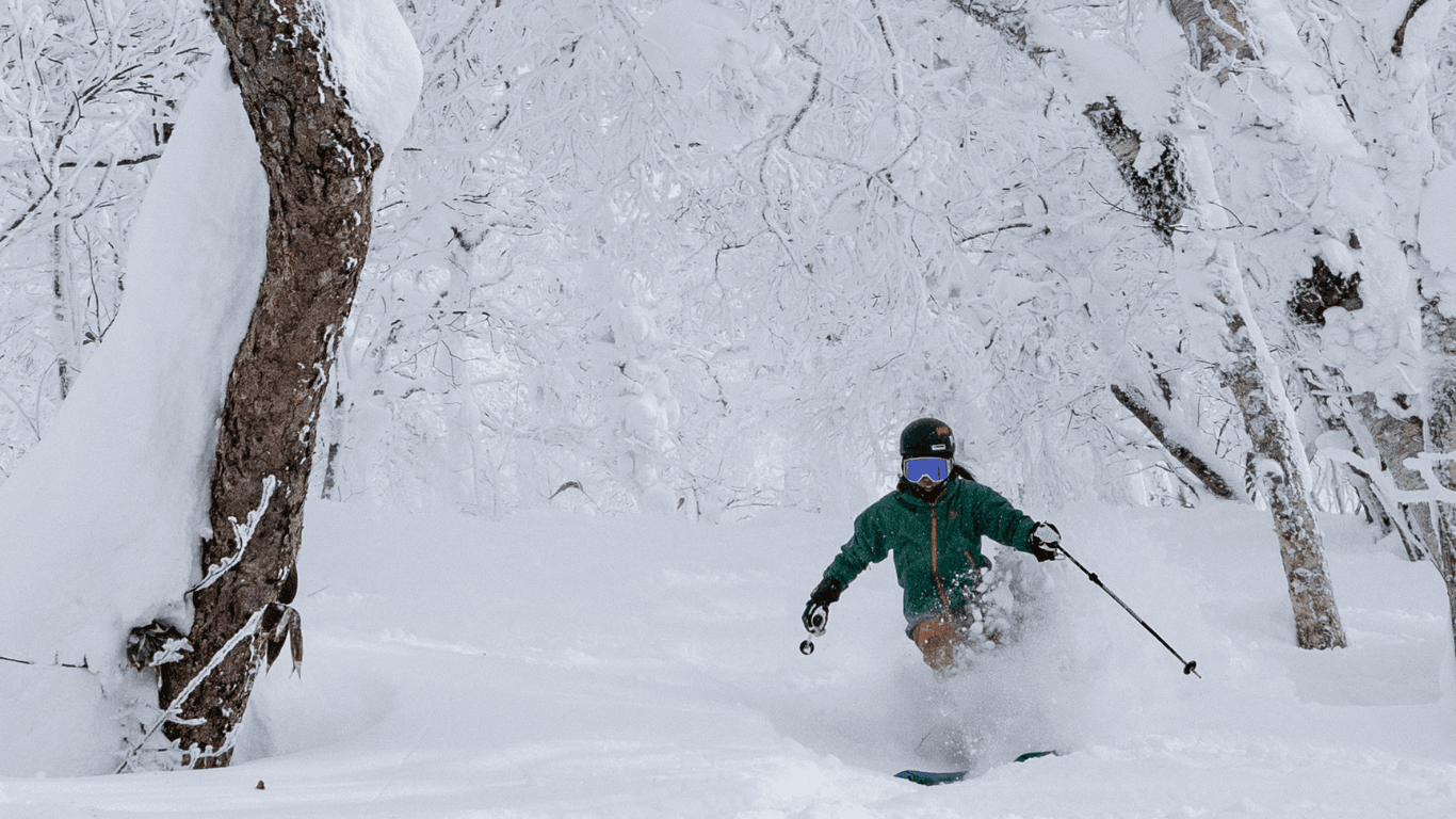 Skiers carving fresh powder on a Japanese mountain