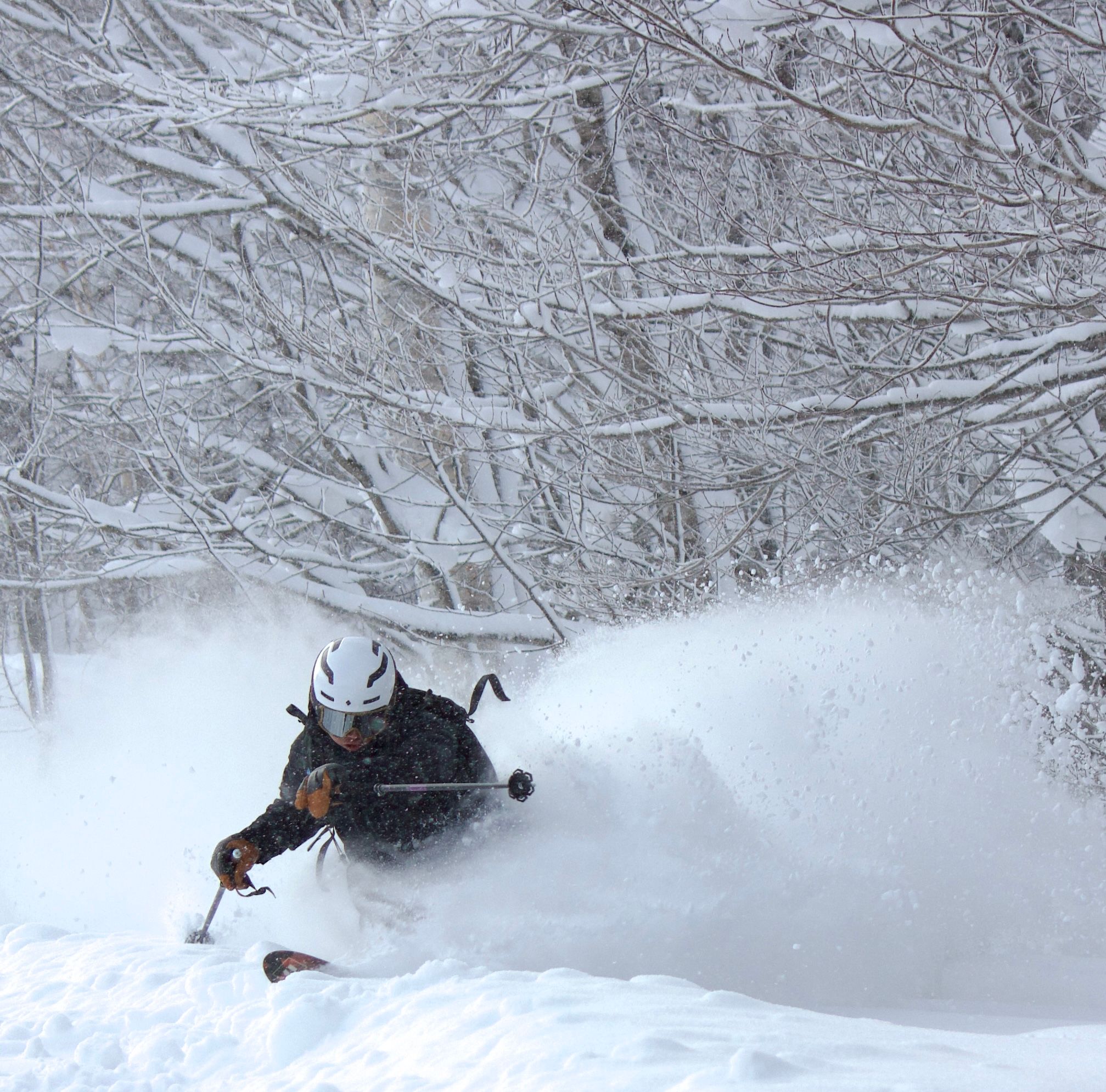 Kaito Nakagawa — photo 1