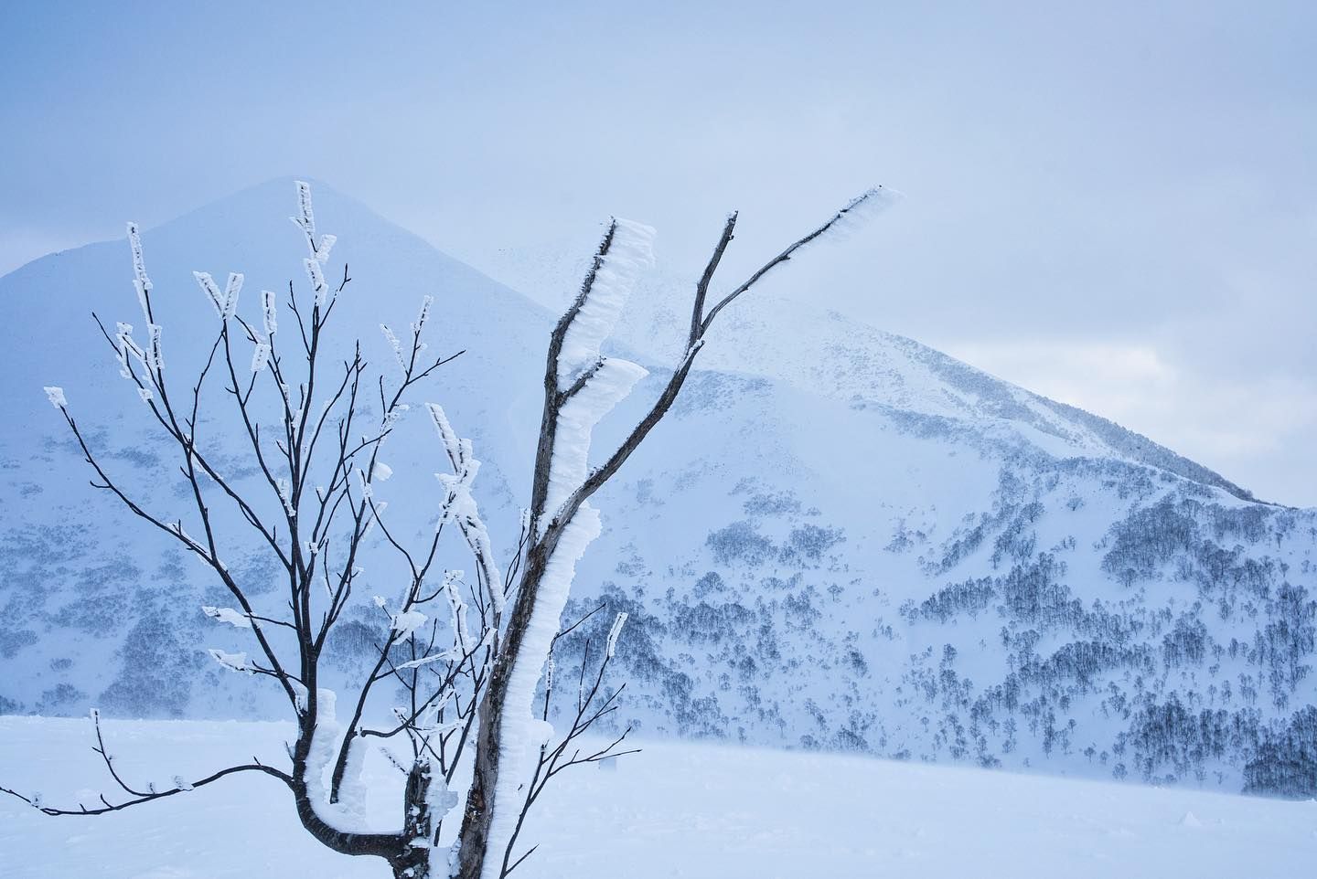 How to Spend a Rest Day in Niseko: Culture, Wellness, and Relaxation
