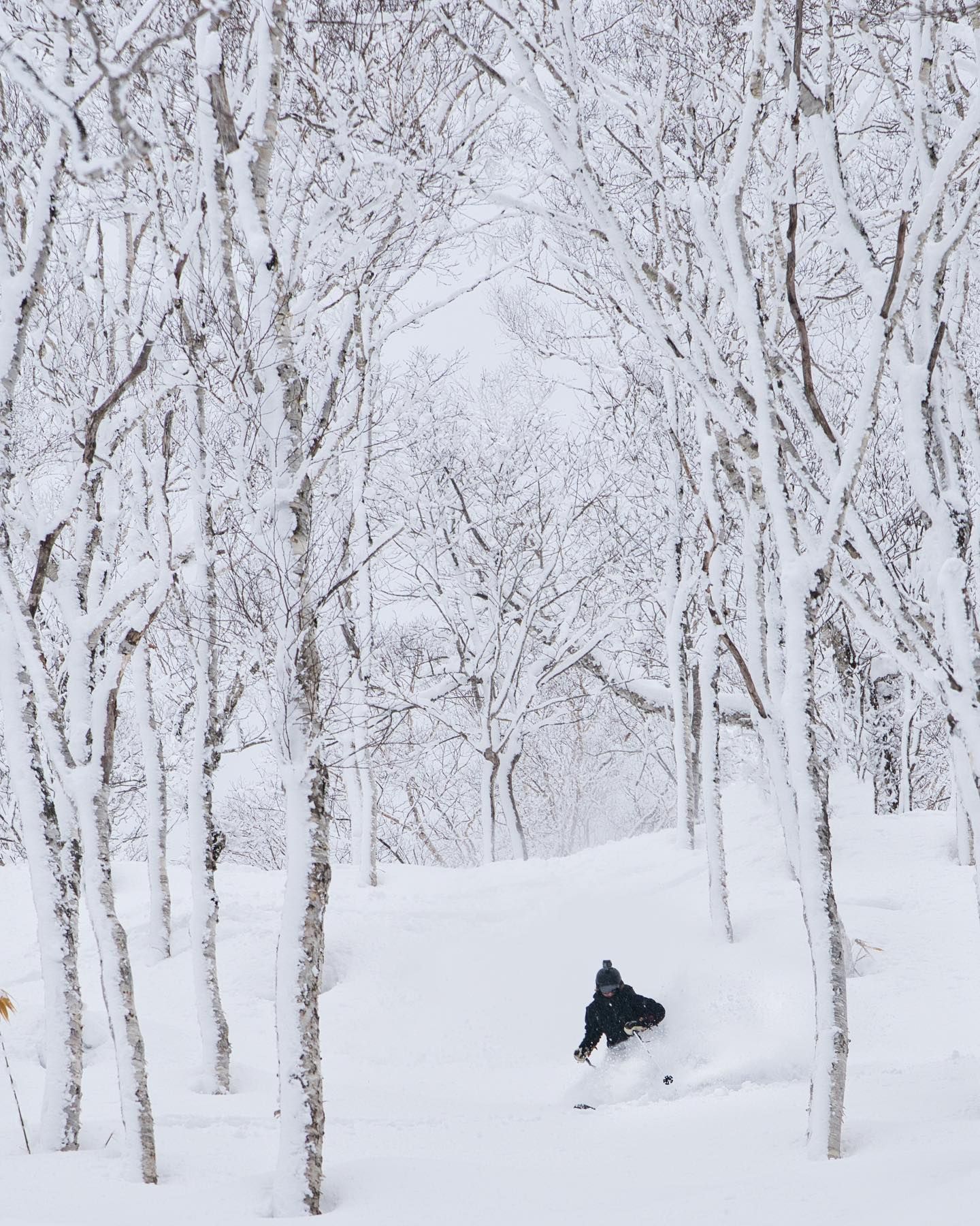Linn skiing in Rusutsu