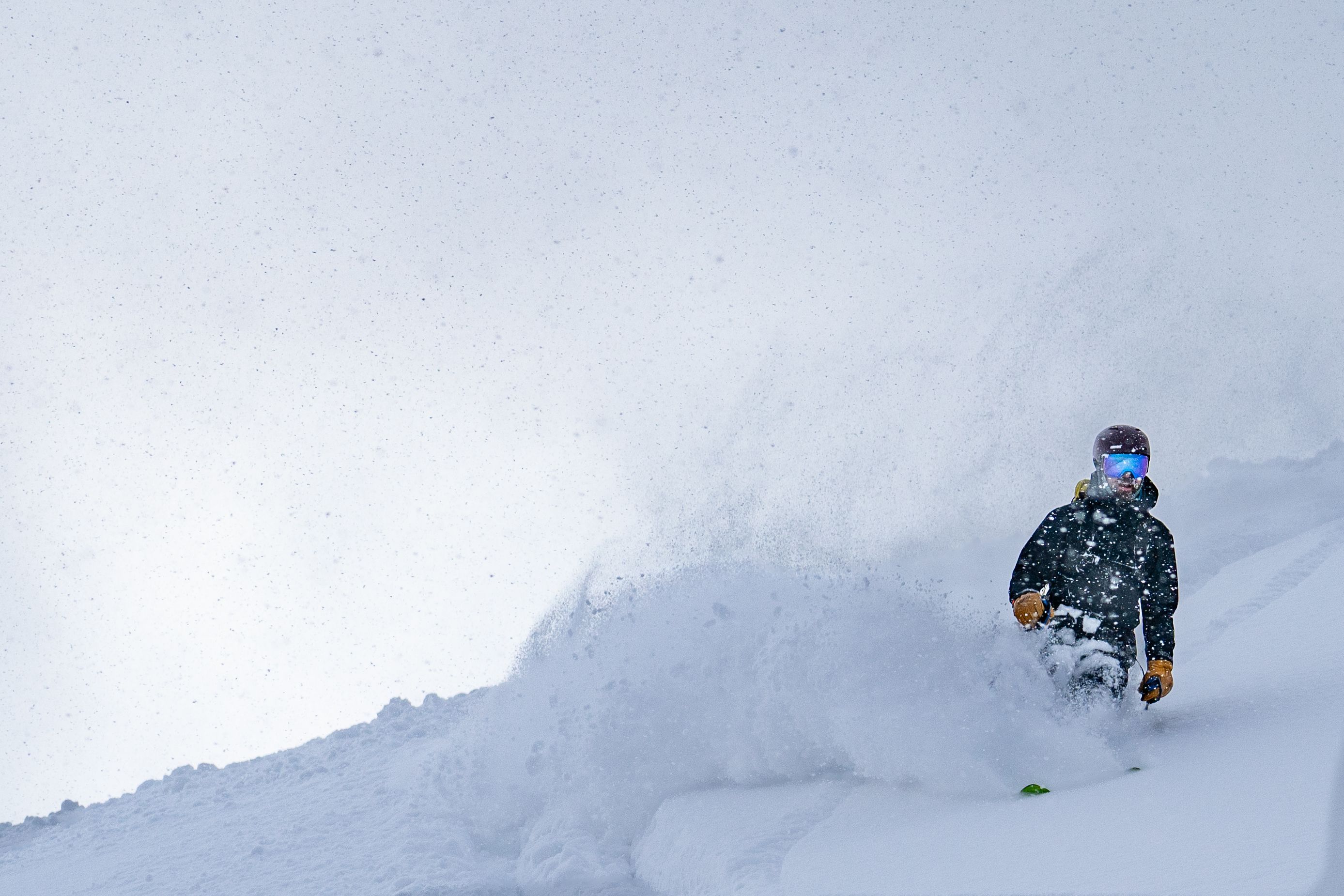 Resort Guiding Standards: Ski & Snowboard Guides