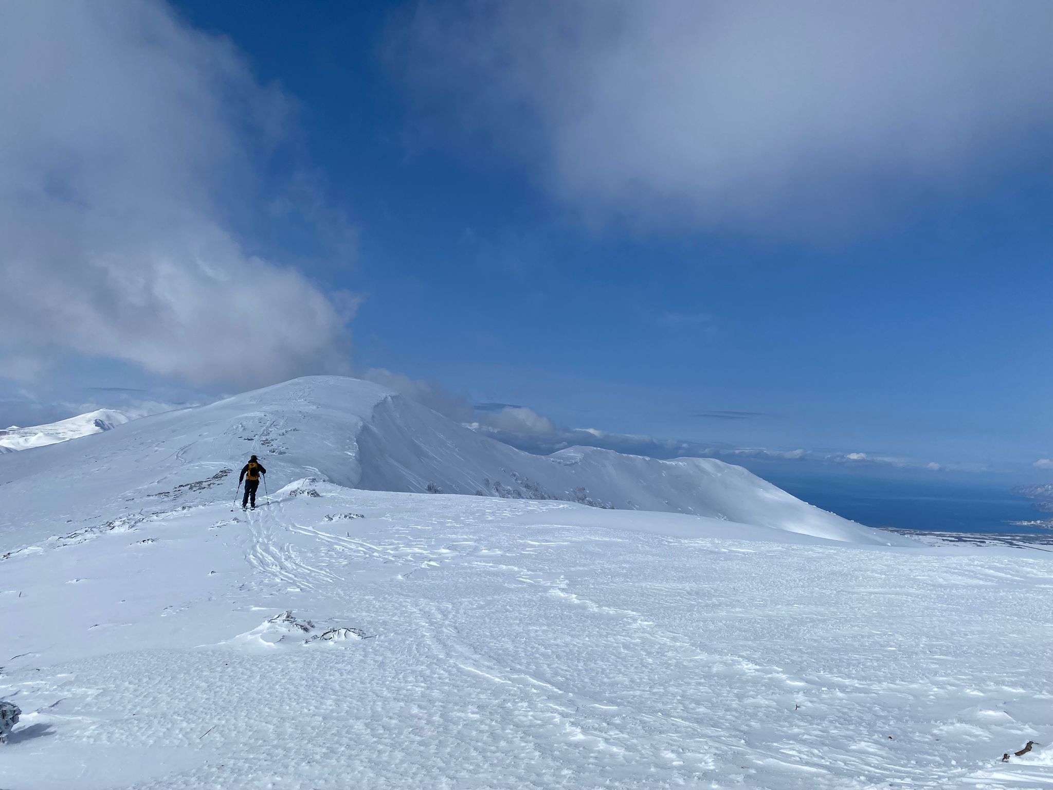 Skier on Weiss