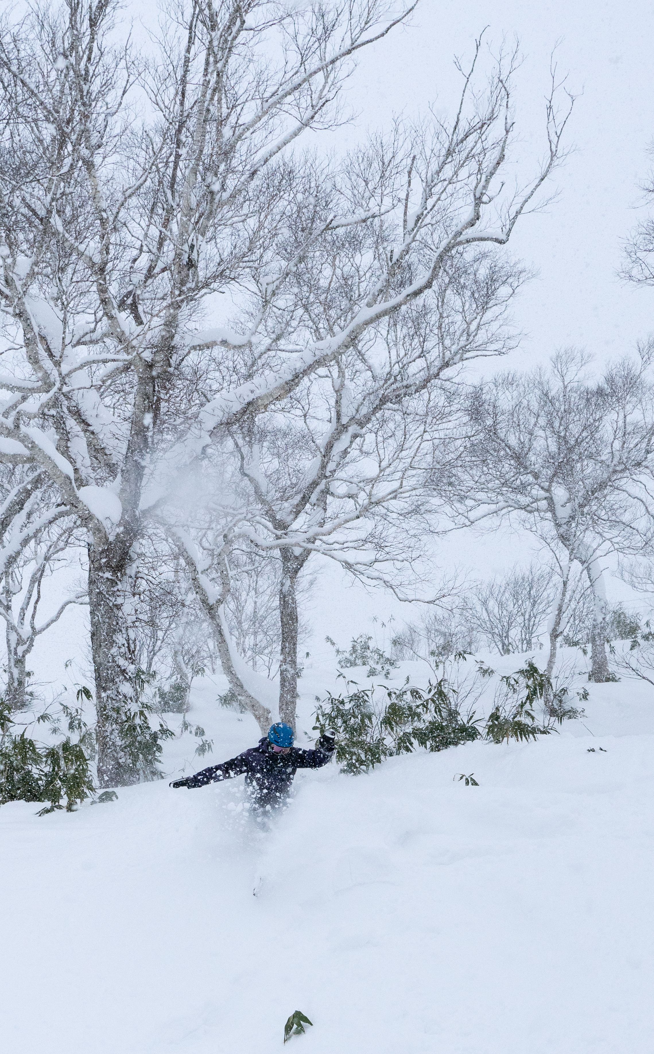 Gate 10 — Moiwa Sidecountry: Spacious Powder Bowls