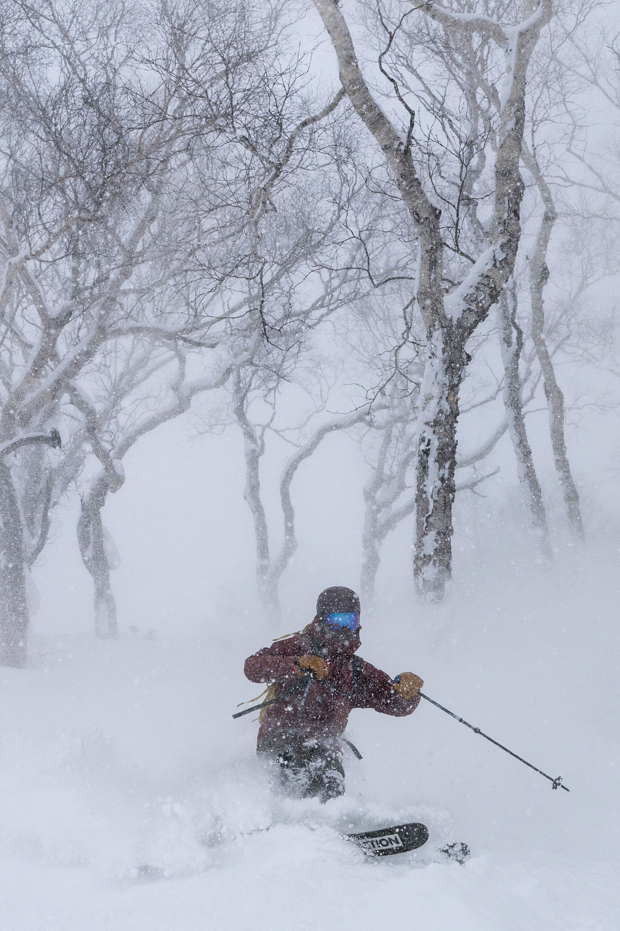 Gate 8 — Hachi-Ban: Annupuri Tree Skiing Without a Hike