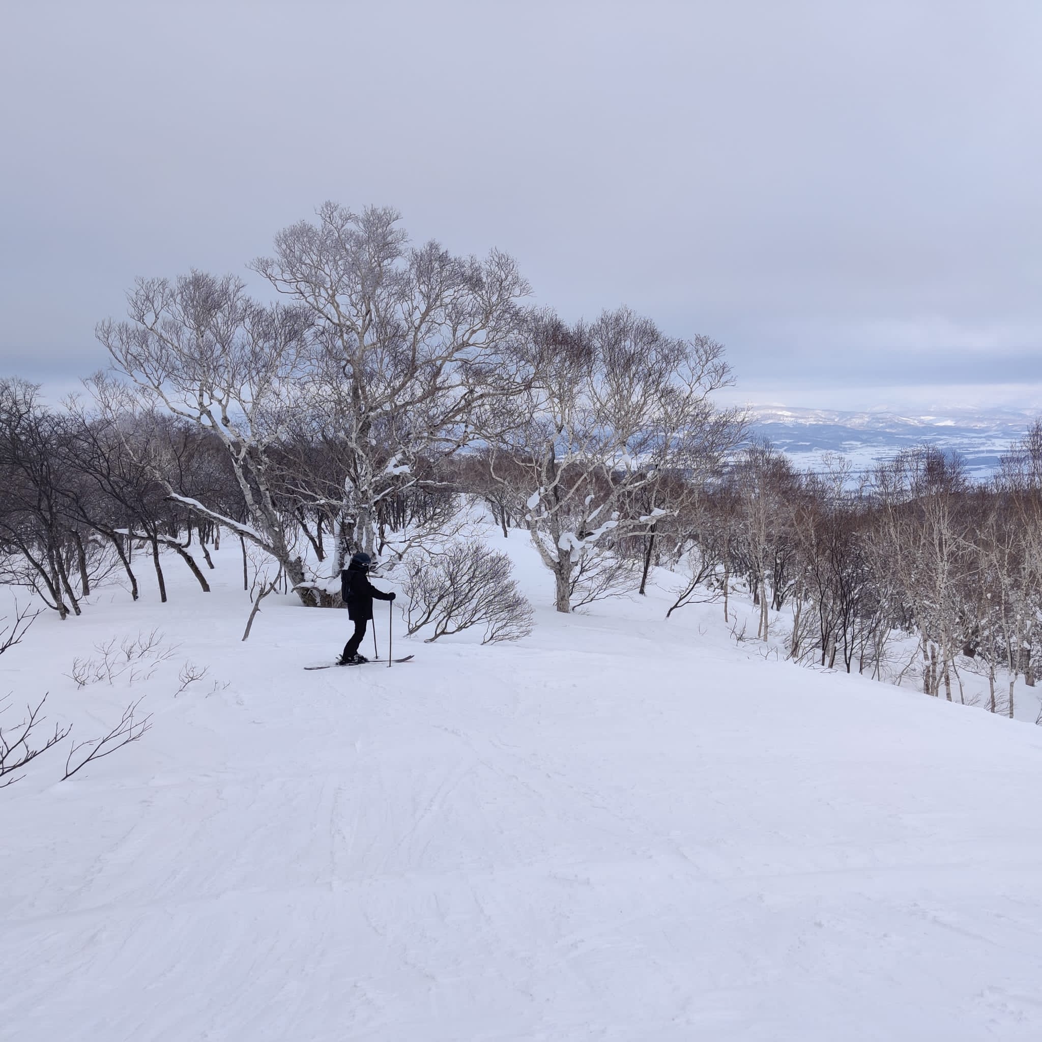 Gate 9 — Waterfall: Consistent Fall-Line Tree Skiing