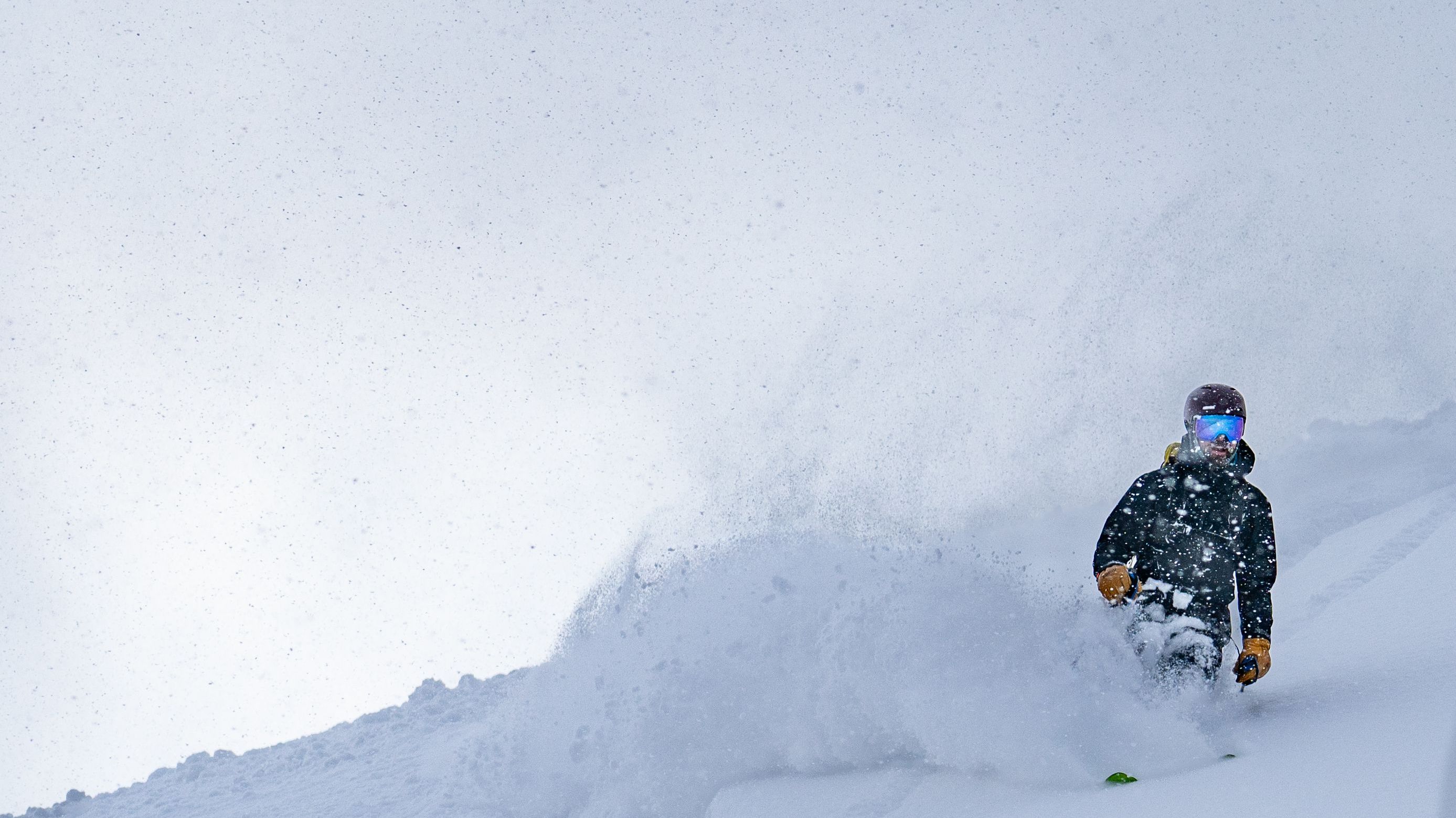 Resort Guiding Standards: Ski & Snowboard Guides