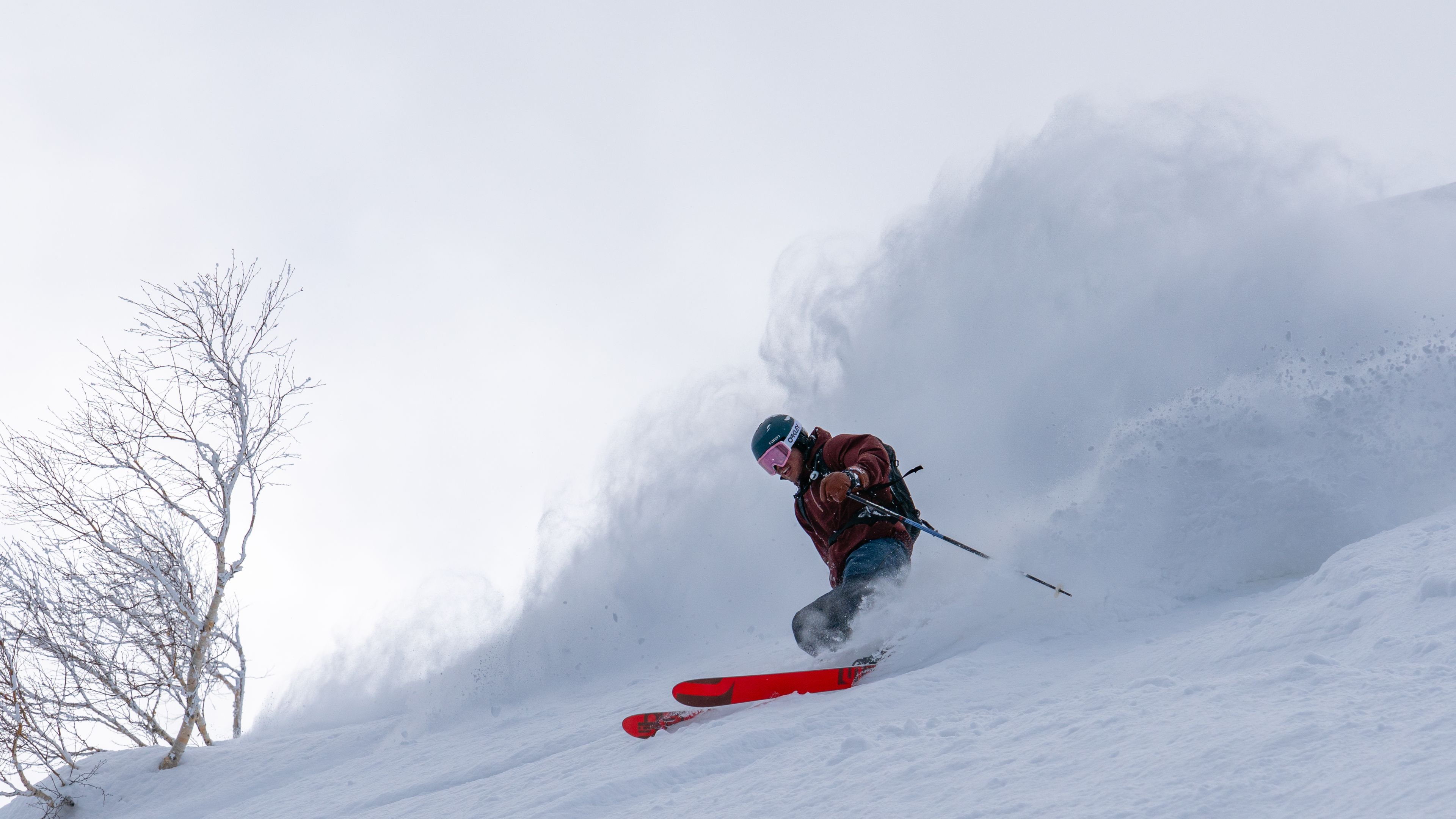 Gate 5 — Hanazono Gate: Open Terrain and Tree Skiing
