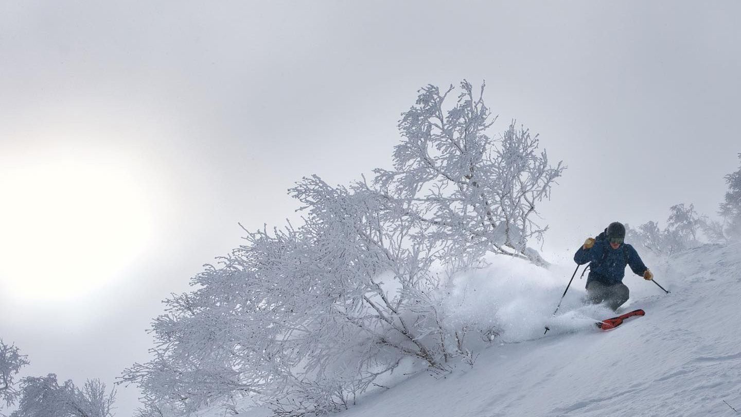 Why Book a Ski Instructor? Five Game-Changing Benefits for Your Ski Holiday