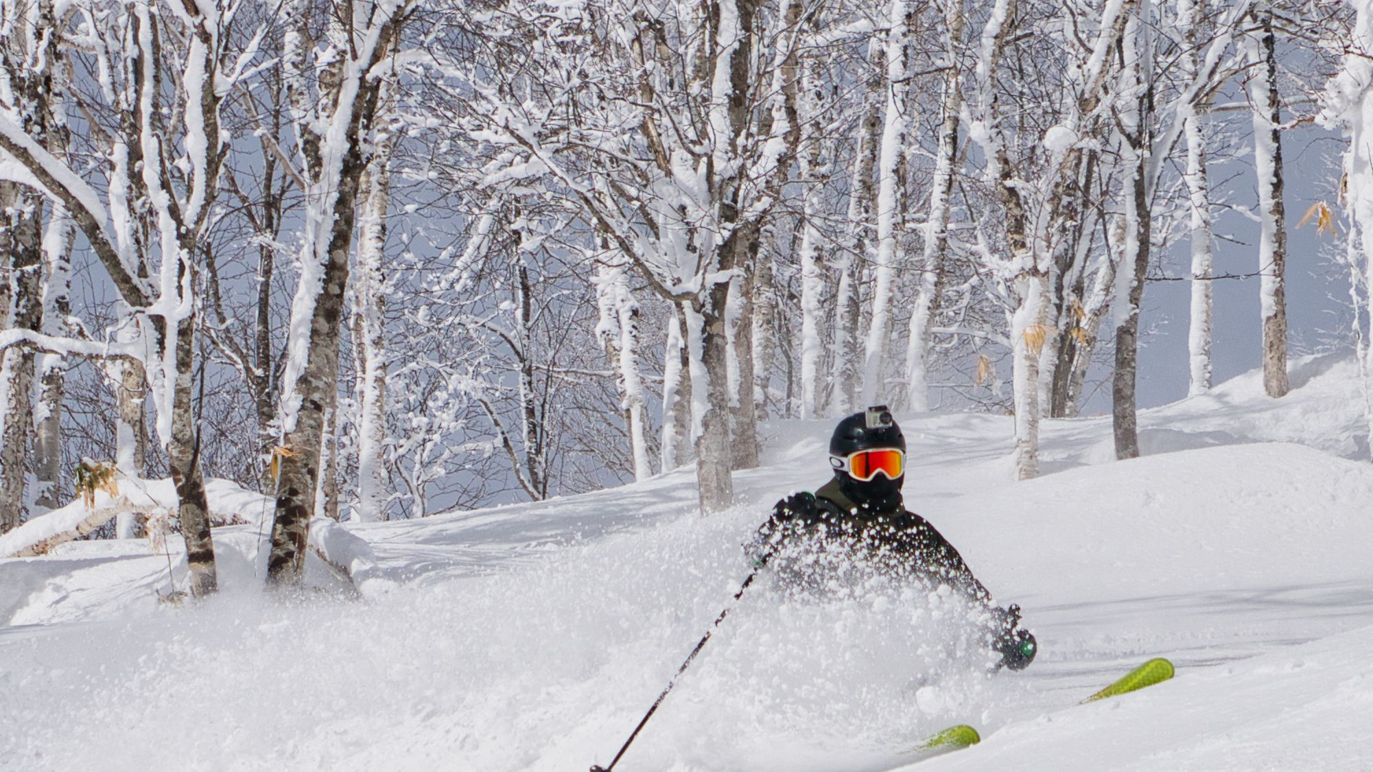 Where to Find Avalanche Forecasts in Japan