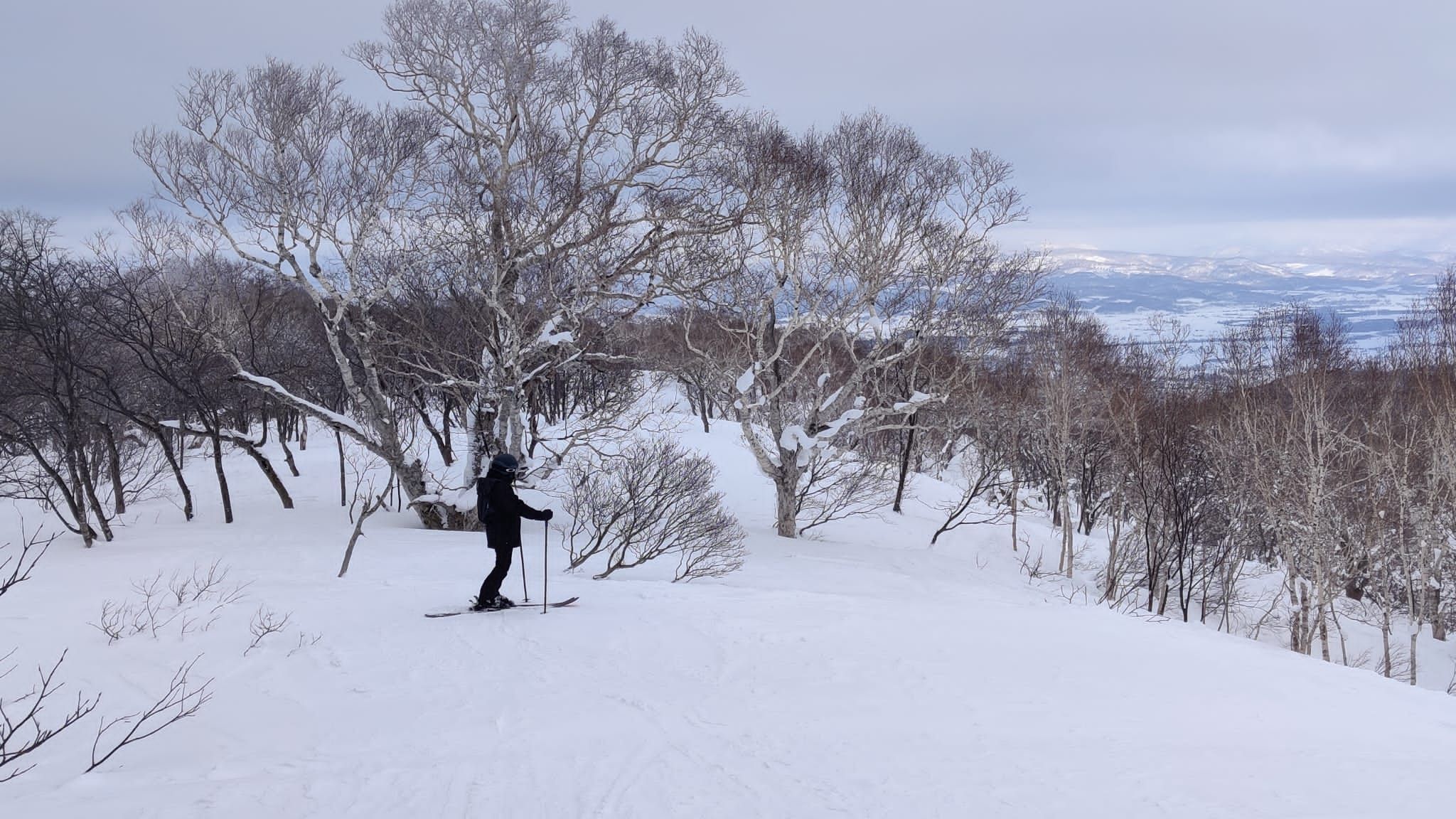 Gate 9 — Waterfall: Consistent Fall-Line Tree Skiing